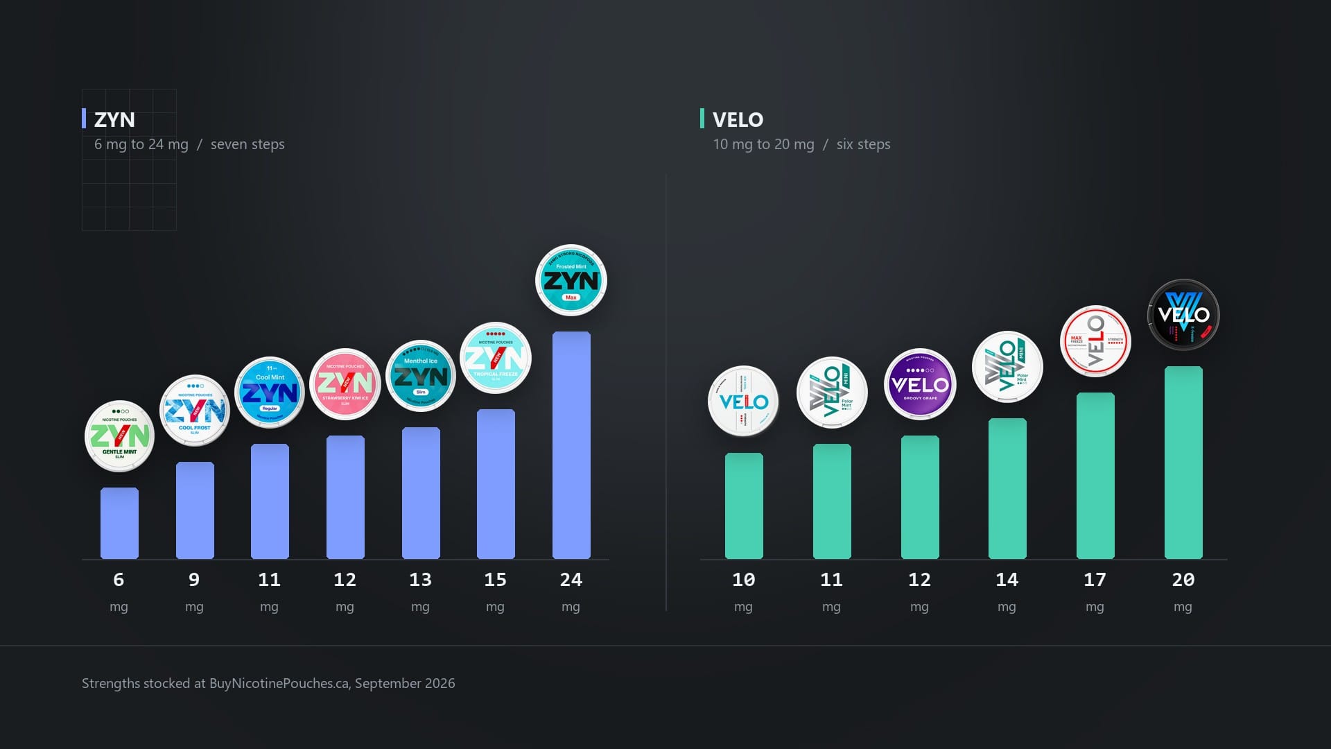 ZYN vs VELO strength comparison, a bar chart of every strength stocked, each bar topped with the real tin: ZYN at 6, 9, 11, 12, 13, 15 and 24 mg against VELO at 10, 11, 12, 14, 17 and 20 mg